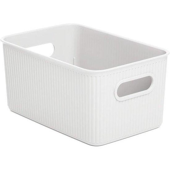 Boîte de rangement ergonomique sans BPA - 1 pièce - matériau de haute qualité - 18,1 x 27,2 x 13 cm