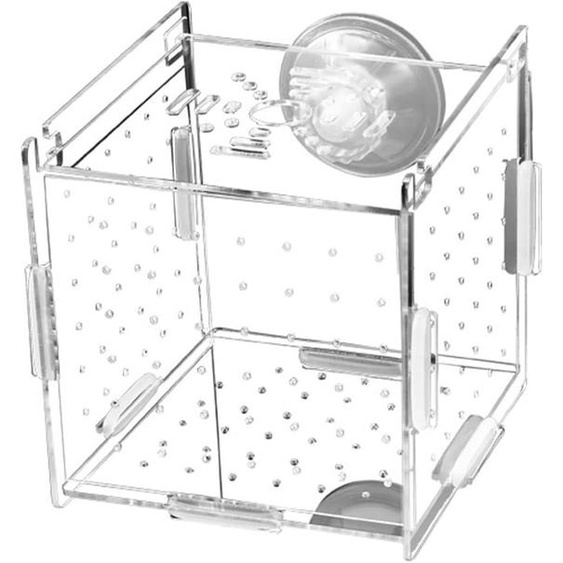 Boîte de reproduction pour poissons en acrylique transparent, avec ventouses, compacte, pour aquarium