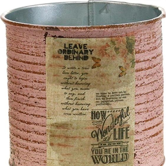 Boîte décorative en métal style vintage pour plantes et idées déco