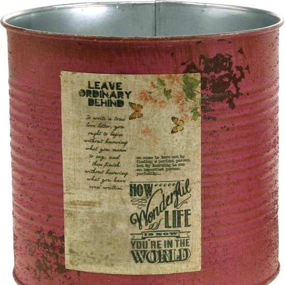 Boîte décorative vintage en métal pour des idées de plantation variées