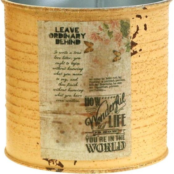 Boîte en métal décorative style vintage Pot de fleurs et herbes aromatiques