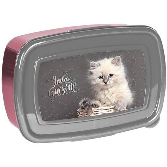 Boîte Goûter Rectangulaire En Pvc Nasa Chat À Fenêtre 18 X 11 X 6 Cm Gris / Rose / Foncé / Bleu