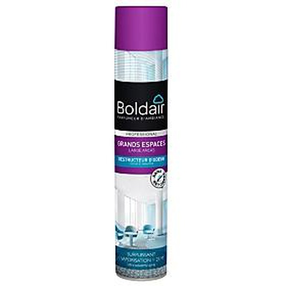 Boldair Désodorisant Destructeur dodeurs parfum Neutre 750 ml