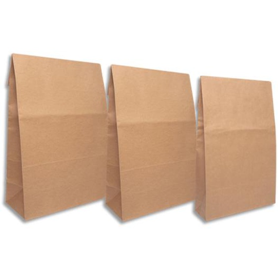 BONG E-GREEN Pochettes E-commerce Aller-Retour 350x250x50 papier papier kraft brun 120 g/m².Boîte de 250.