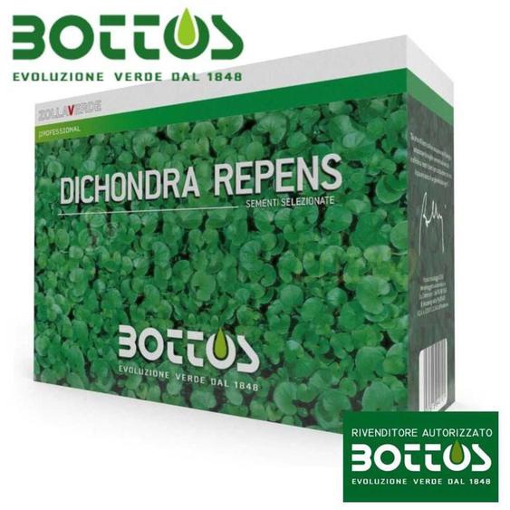 Dichondra Repens - Graines pour pelouse 1 kg