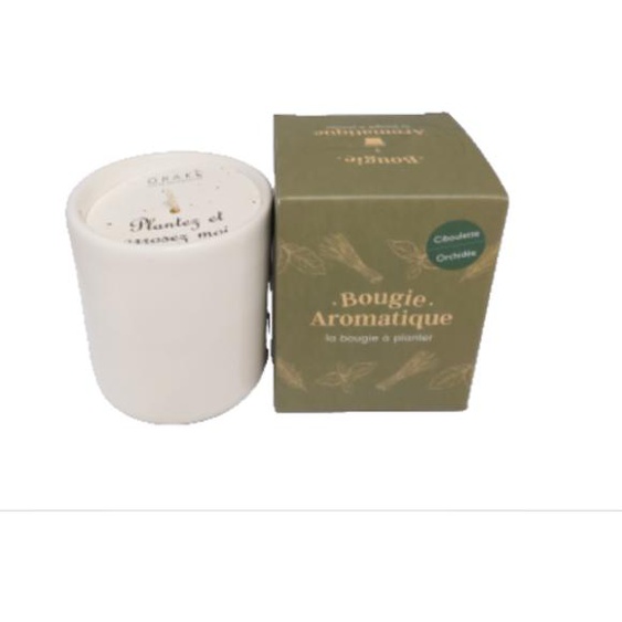 Bougie parfumée Orchidée graine de Ciboulette 35h 160g