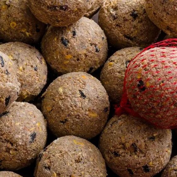 Boules de Graisse pour Oiseaux avec Insectes - 100 Pièces