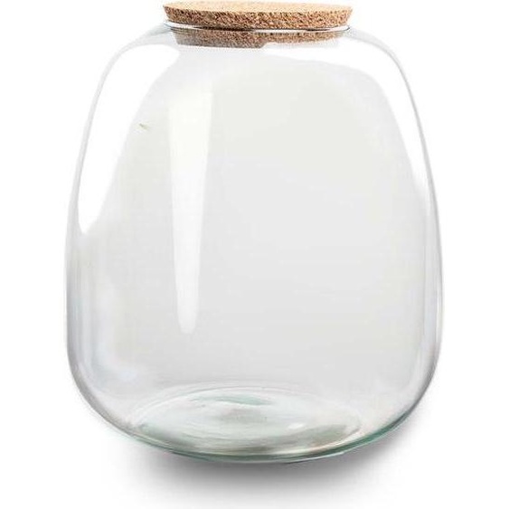 Bouteille de terrarium Emma - Bouteille de verre 25x23cm - Bouteille de verre décorative pour terrarium de plantes, jardin de bouteilles & plantations créatives - Bouteille de verre de haute qualité pour plantes dintérieur & décoration DIY