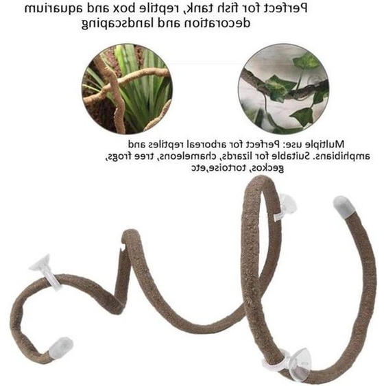 Branche descalade en plastique flexible pour terrarium | Décoration en rotin de 1,5 mètres pour reptiles, avec ventouses | Idéale pour encourager lactivité descalade et améliorer lenvironnement de lhabitat
