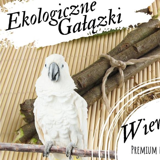 Branches de saule pour perroquets - Friandise naturelle 100G - Nourriture premium pour perroquets