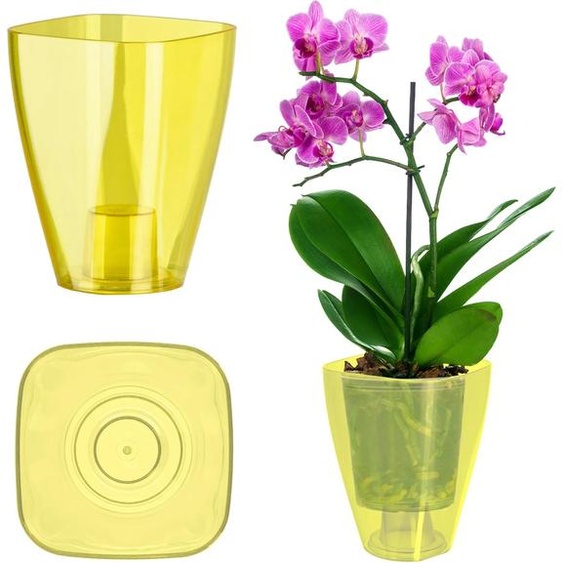 Cache-pot pour orchidée - Pot pour orchidée - Plastique - Petit - Jaune
