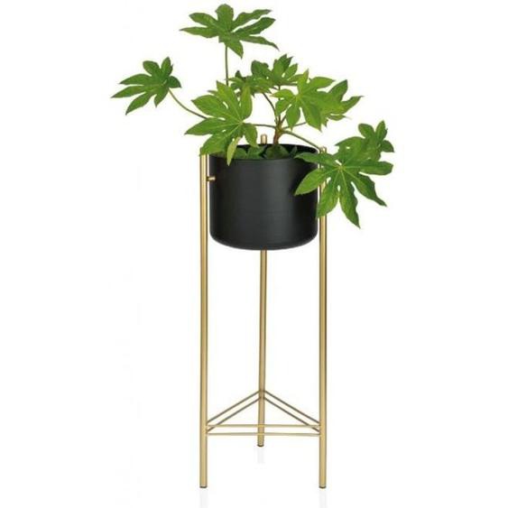 Cache-pot sur Pied en Métal Doré et Pot Noir - Hauteur 80cm