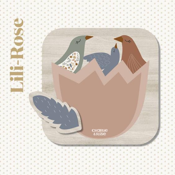 Cadre Photo En Bois Lili-rose Plume Multicolore