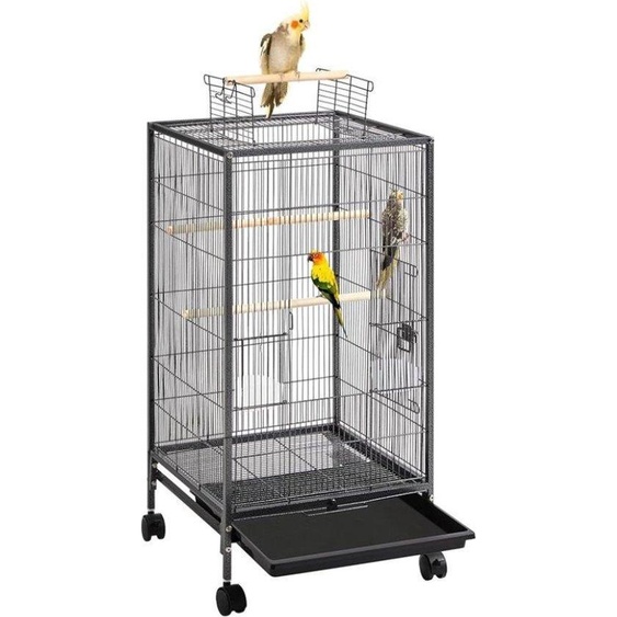 Cage à oiseaux 3 en 1 pour perruches - Grande cage dintérieur - 45 x 45 x 100 cm - Noir