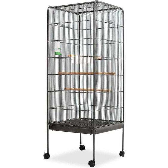 Cage à oiseaux noire 54x54x146 cm acier