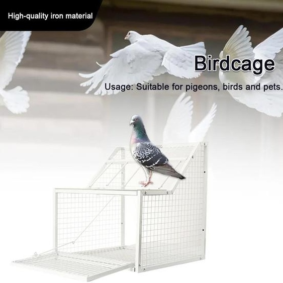 Cage pour pigeons - Cage à oiseaux - 60 cm - Fer - Argenté - Avec pédale - Résistant à la rouille