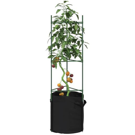 Cages à tomates avec sacs à plantes 6 pcs 116 cm acier et PP