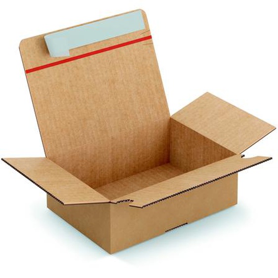 Caisse à montage instantané et fermeture adhésive en carton simple cannelure brun - L.23 x l.16 x H.8 cm - Lot de 20