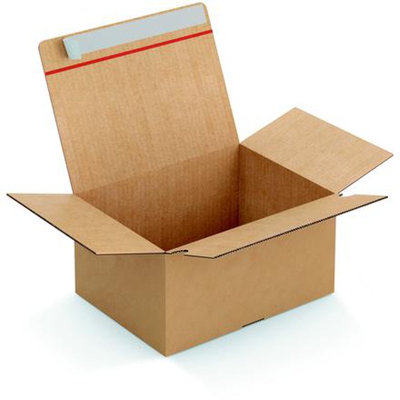 Caisse à montage instantané et fermeture adhésive en carton simple cannelure brun - L.31 x l.23 x H.16 cm - Lot de 20
