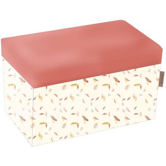 Caisse De Rangement Ou Banquette Perroquet Multicolore