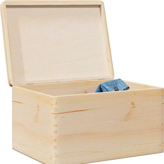 Caisse en bois simple avec couvercle 40x30x23 cm pin massif - Caisses de jardin FR1646973 1parcel