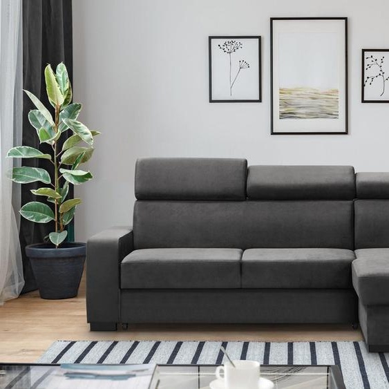 Canapé dangle universel FOX II, canapé dangle rembourré avec fonction de couchage, canapé-lit en velours (gris)