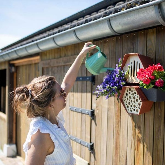 Capi Europe - Ruche hôtel à abeilles - Vert