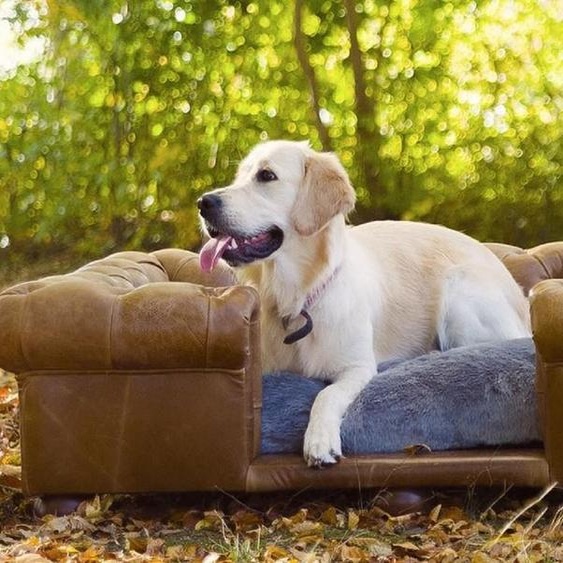 Casa Padrino Luxe Chesterfield Lit en cuir pour chien Vintage Marron / Marron foncé / Gris 134 x 104 x H. 37 cm - Lit rectangulaire pour chien en cuir véritable - Meubles de luxe en cuir Chesterfield pour animaux domestiques