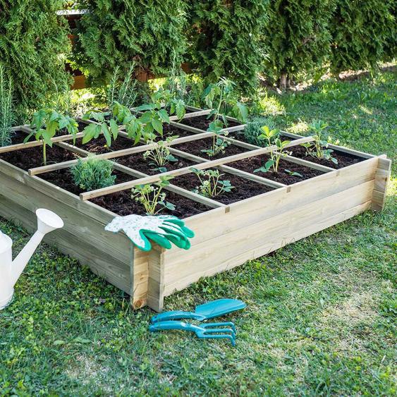 Carré potager en bois 16 cases 240 l