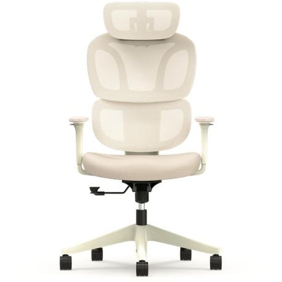 Chaise de bureau ergonomique fraîche et colorée BS5