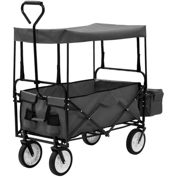 Chariot à main pliable avec toit Acier Gris