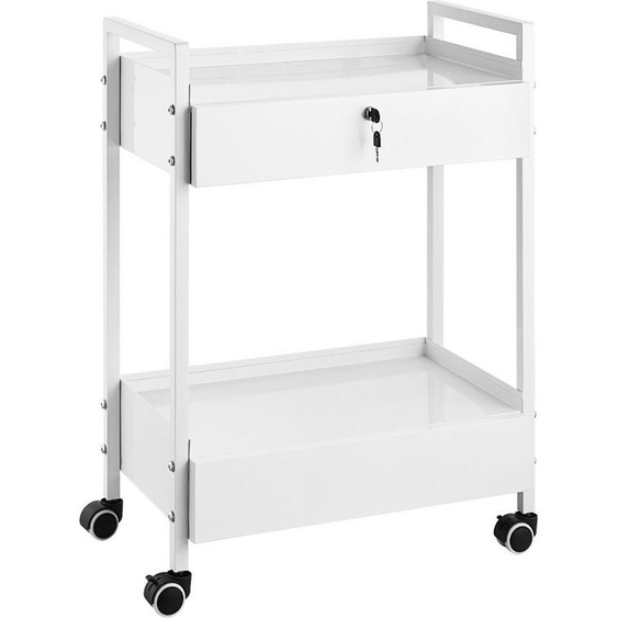Chariot de laboratoire - chariot polyvalent à 2 étages en acier inoxydable - chariot médical sur roulettes - chariot de service blanc avec roulettes pivotantes - idéal pour les laboratoires, les hôpitaux, les cabinets dentaires, les salons, etc.
