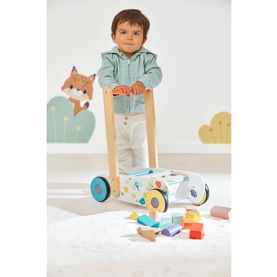Chariot De Marche Et Cubes En Bois Multicolore