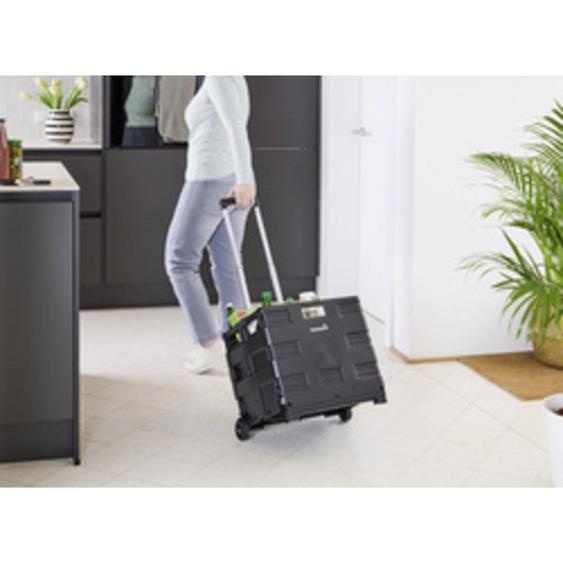 Chariot de transport olli avec boîte pliante, 45 L