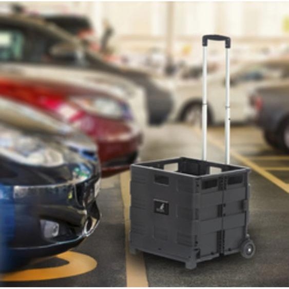 Chariot de transport pliant avec boîte pliante