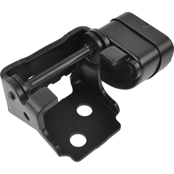 Charnière de porte, métal, longueur 260mm, compatibilité Citroen C5 III (2008), poids 0,5kg, spécifications OEM