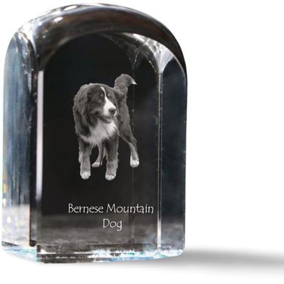 Chien de berger bernois - cube en cristal avec photo, photo du chien dans le cristal, bouton cubique sur papier de la marque Art-Dog