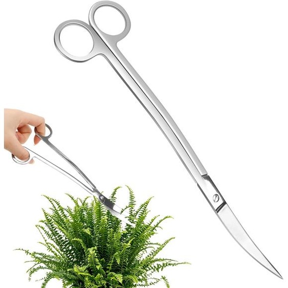 Ciseaux courbes pour aquarium, 25 cm, en acier inoxydable, pour les plantes aquatiques