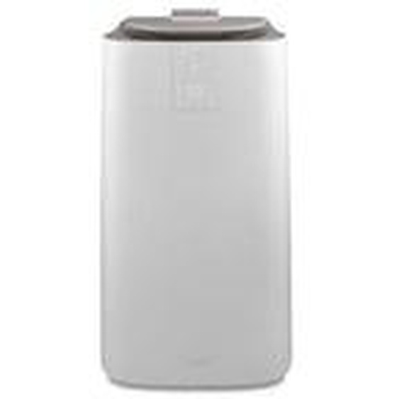 Climatiseur PAC AP120