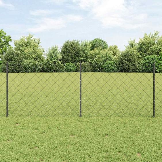 Clôture en fil métallique avec poteaux, 10 x 0,8 m, en acier avec revêtement PVC