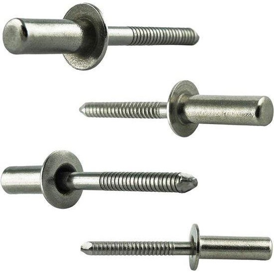 Clous à tête plate étanches 48 x 12 mm | acier inoxydable VA A2 V2A - 50 pièces