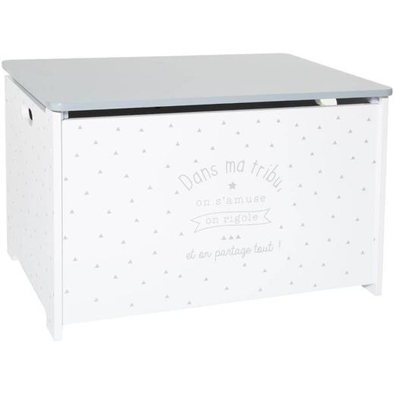 Coffre À Jouets Gris