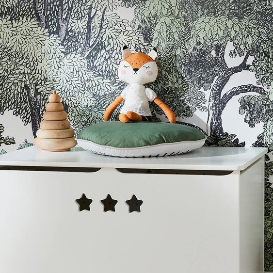 Coffre de rangement LIGNE SIRIUS blanc