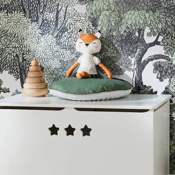 Coffre de rangement SIRIUS blanc