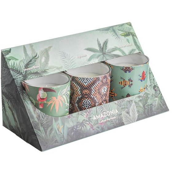 Coffret de 3 bougies parfumées 120g 20h Amazonia