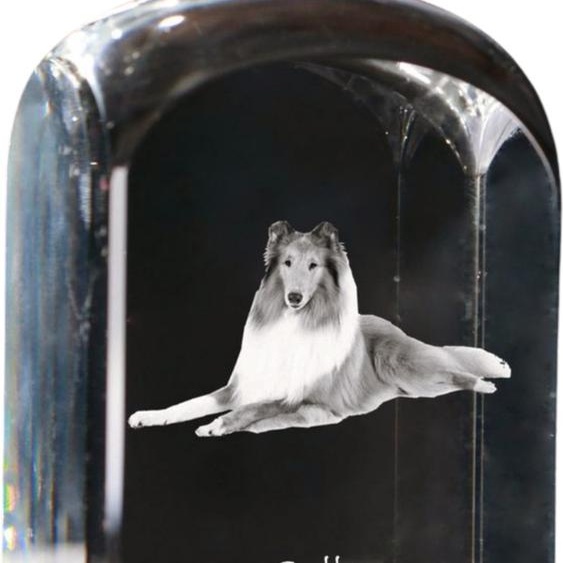 Colie à poil dur - cube en cristal avec photo, photo de chien en cristal, bouton cubique sur papier de la marque Art-Dog