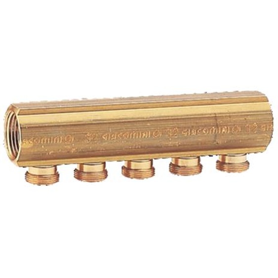 Collecteur 5 S R580 1 M16 GIACOMINI R580Y065