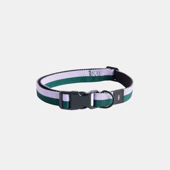 Collier pour chien Dogs Flat - M/L - lavender/green