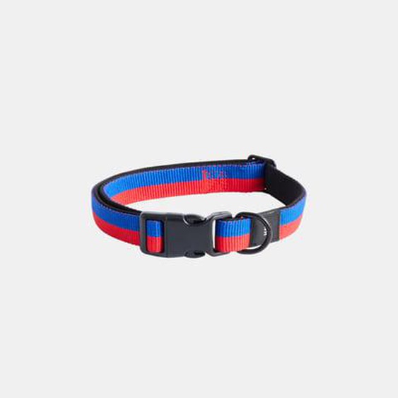 Collier pour chien Dogs Flat - red/blue - M/L