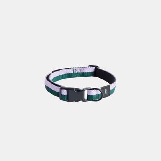 Collier pour chien Dogs Flat - S/M - lavender/green